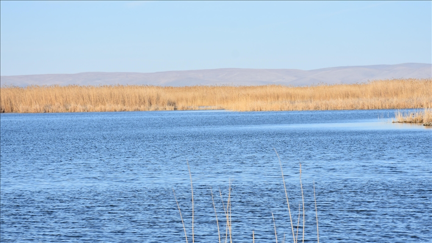 Sıfır Atık Vakfı, Eber Gölü için hazırlanacak eylem planına katkı sağlayacak — Detaylı Analiz