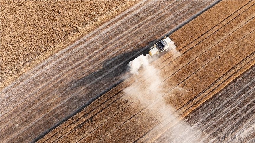 Tarım sezonunun ilk 4 ayında yağışlar geçen yıla uyarınca yüzde 38 arttı — Detaylı Analiz