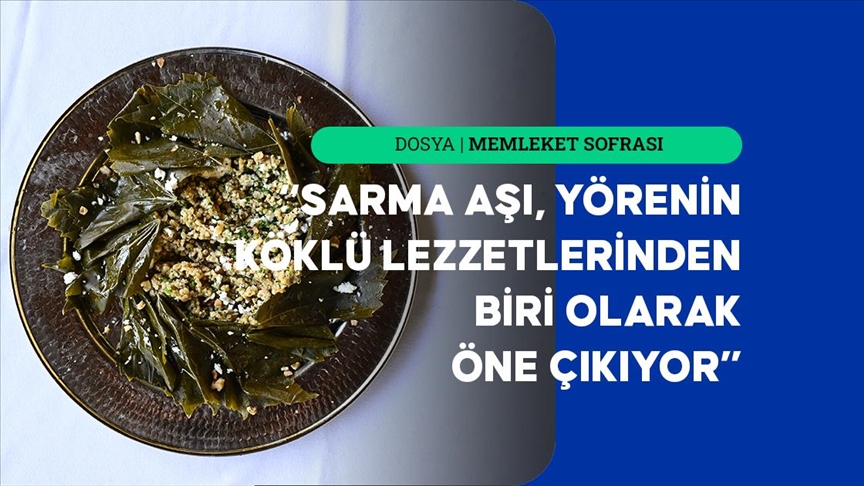 Burdur sarma aşı — Detaylı Analiz