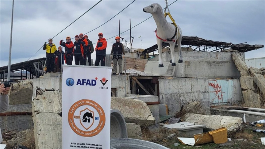 AFAD'dan afetlerde hayvanların korunmasına yönelik uluslararası proje — Detaylı Analiz