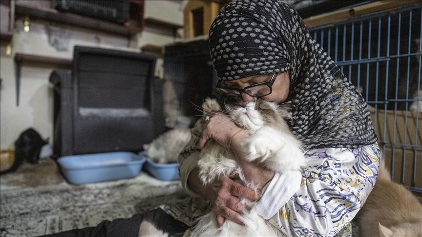 Lübnanlı hayvansever Abadi, İsrail saldırıları altındaki Dahiye'den 40 kedisiyle ayrılmak zorunda kaldı — Detaylı Analiz