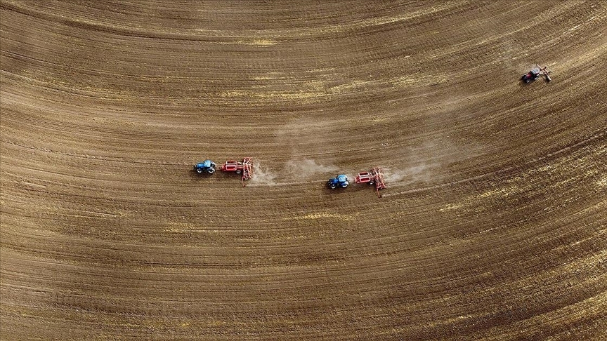 Türkiye genelindeki tarım sayımında sona yaklaşıldı — Detaylı Analiz