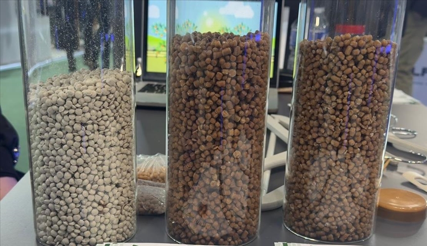 Kayısı çekirdeğinden biyomalzeme üreten Türk girişimci Paris'te ihracat ağını büyütüyor — Detaylı Analiz