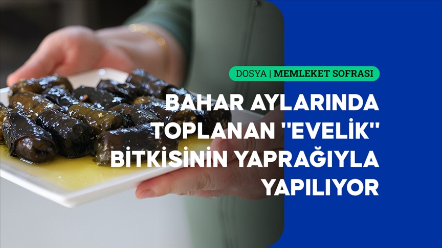 Lor dolması — Detaylı Analiz