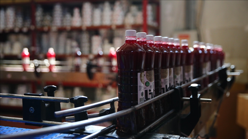 Adana şalgam suyunun AB'den tescil alması üreticilerin yüzünü güldürdü — Detaylı Analiz