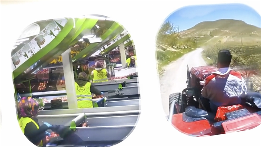 IPARD III Programı 2026 yılı çağrı takvimi yayımlandı — Detaylı Analiz