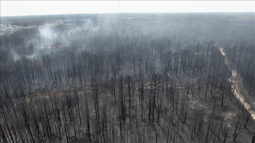 ABD'nin Nebraska eyaletinde orman yangınları dolayısıyla 243 bin hektarlık alan kül meydana geldi — Detaylı Analiz