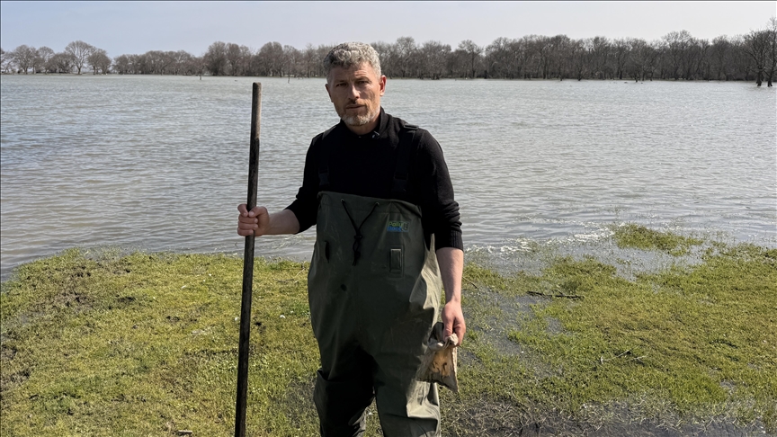 Tıbbi sülük avcılığı için soğuk suyun içinde saatler geçiriyor — Detaylı Analiz