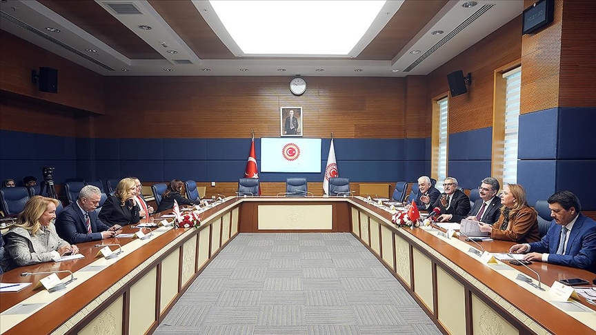 Türkiye ile KKTC'nin parlamentolar arası dostluk grupları Meclis'te bir araya geldi — Detaylı Analiz