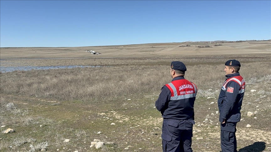 Jandarma flamingolar için Gelingüllü Barajı'nda mesaide