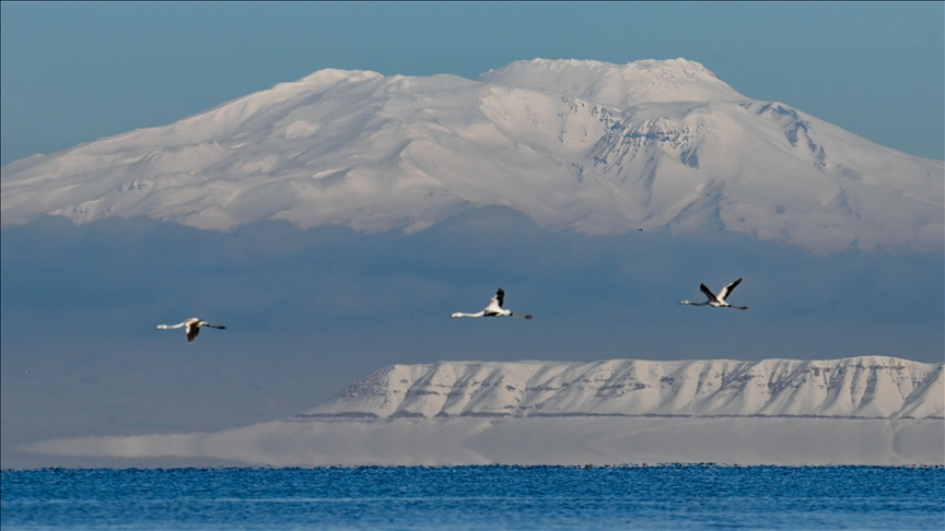 Van Gölü'nün misafirlerine kar sürprizi — Detaylı Analiz