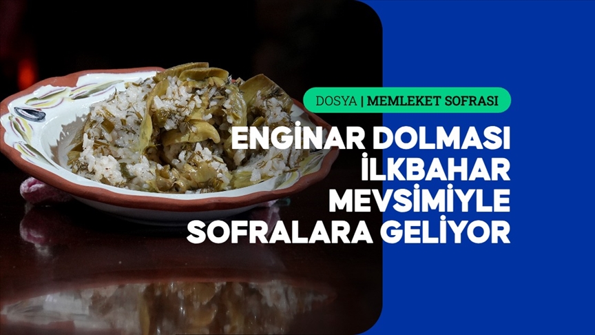 Enginar dolması — Detaylı Analiz