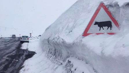 Nisan sonu kar yağışı Ardahan'da 2 metreyi buldu