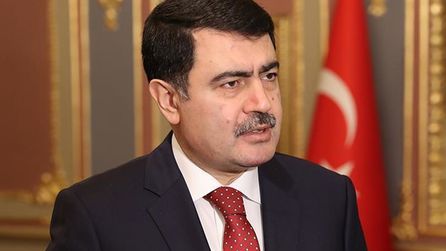 Vasip Şahin, TİHEK Başkanlığına atandı