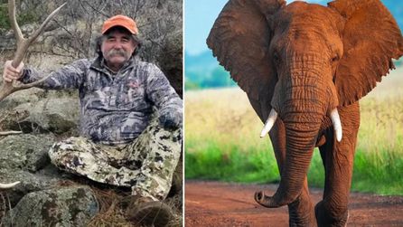 Milyoner avcı Ernie Dosio Afrika'da fil sürüsünün saldırısında hayatını kaybetti