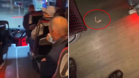 Otobüste düşen takma diş için muavin yolculara seslendi