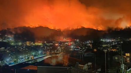 Japonya'da Orman Yangınları Nedeniyle 1000 Kişi Tahliye Edildi