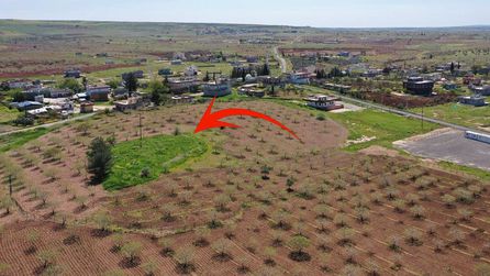 Şanlıurfa'daki kazı çalışmalarına Japon ve Çinli arkeologlar katılacak