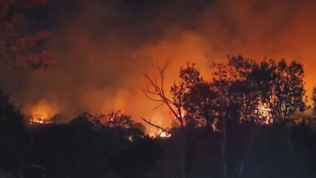 İstanbul Beykoz'da orman yangını yeniden alevlendi