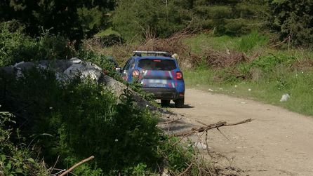 Ceyhan'da ormanda parçalanmış erkek cesedi bulundu