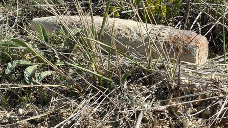 Ankara'da mantar ararken top mermisi bulan vatandaş şaşkınlık yaşadı