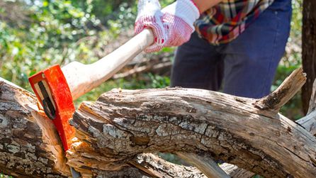 Alanya'da ağaç kesimi sırasında kaza sonucu bir kişi yaşamını yitirdi