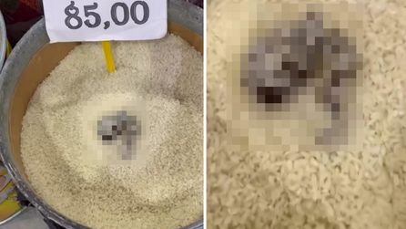 Mersin'de markette kedi dışkısı bulunan pirince ceza kesildi