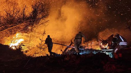 İstanbul Beykoz'da Orman Yangını Kontrol Altına Alındı