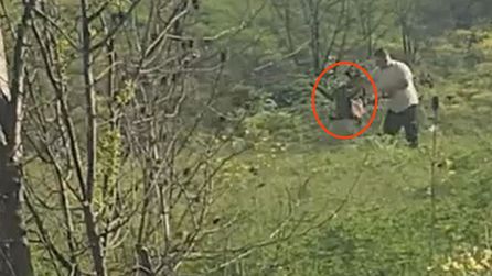 Vicdanları sızlatan görüntüler: Yaptığının hesabını verecek! 