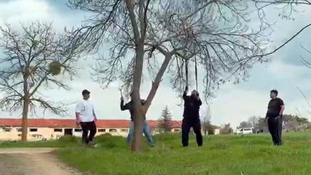 Eskişehir'de ağaç dalını kırmaya çalışan grup görüntülendi