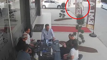 Tarsus'ta tavuk, masanın ortasına düştü