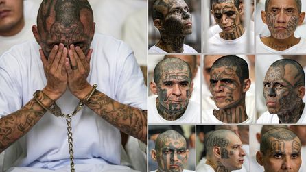 El Salvador Devlet Başkanı, yargılanan çete üyelerinin fotoğraflarını paylaştı