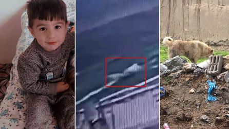 Van'da köpek saldırısında 5 yaşındaki çocuk hayatını kaybetti