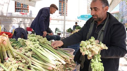 Elazığ'da doğal ışkın fiyatı 400 lira oldu, talep artıyor