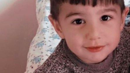 Köpek dehşetinde flaş gelişme: Belediye personeli gözaltına alındı