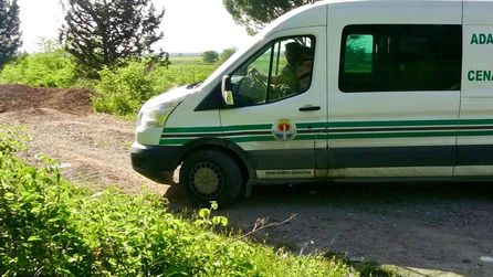 Adana'da ormanlık alanda parçalanmış ceset bulundu