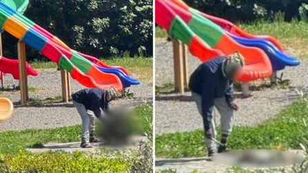 Sarzana'da kedi ölüsünü pişirmeye çalışan göçmen gözaltına alındı