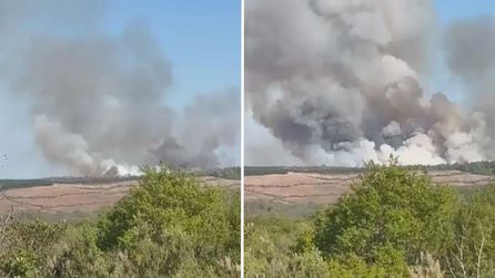 İstanbul Beykoz'da ormanlık alanda yangın çıktı