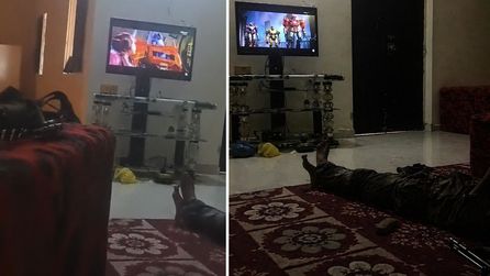 Mali'de Kidal kontrolü Azavad güçlerine geçti, sosyal medyada görüntüler yayıldı