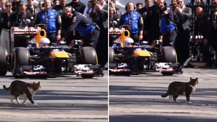 Intercity İstanbul Park 2027-2032 yıllarında Formula 1 yarışlarına ev sahipliği yapacak