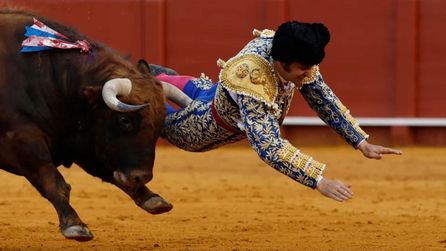 Boğanın saldırısına uğrayan matador hastaneye kaldırıldı
