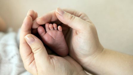 Muğla'da kayıp bebek iddiasına Sağlık Bakanlığı'ndan soruşturma