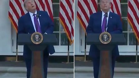 Trump, Kuşu Dron Sanarak Panik Yaşadı, Sosyal Medyada Gündem Oldu