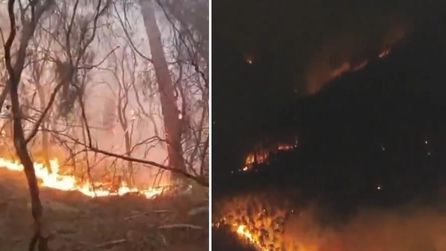 Toskana'da orman yangını nedeniyle binlerce kişi tahliye edildi