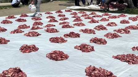Hakkari'de 100 yıllık gelenekte toplu kurban kesimi yapıldı