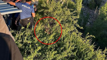 Zihinsel engelli genç deredeki ağaçta asılı kaldı