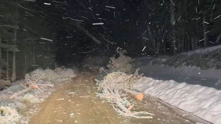 Çorum ve Kastamonu'da Mayıs ayında kar yağışı etkili oldu