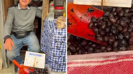 Şirince'de Zeytin Fiyatı Şaşırttı, Bakanlık Harekete Geçti
