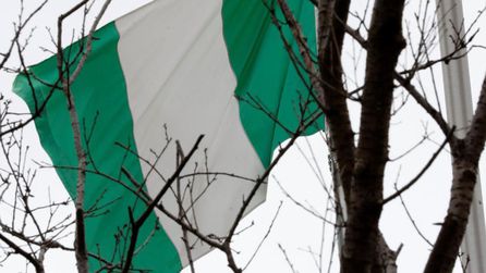 Nijerya ordusu operasyonlarında 5 silahlı çete üyesi etkisiz hale getirildi