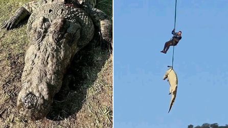 Güney Afrika'da dev timsahın midesinden çıkanlar kayıp kişileri düşündürüyor